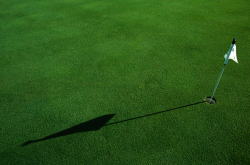 �����������ʐ^